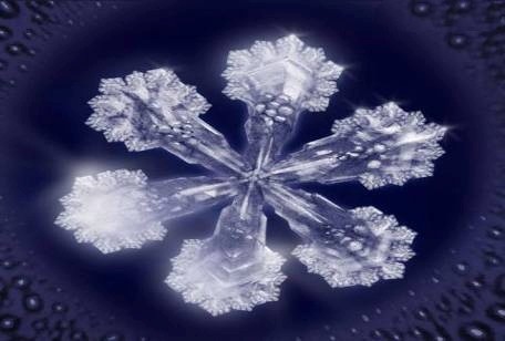 СИНЕКУРА-2 - _10.jpg