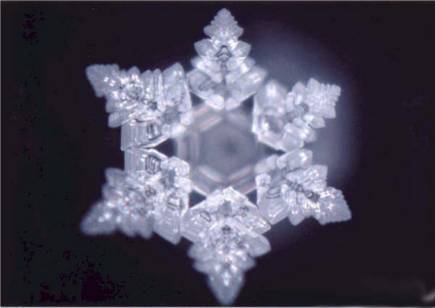 СИНЕКУРА-2 - _9.jpg