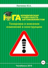 Тонировка и внесение изменений в конструкцию - автор Панченко Юрий 