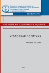 Уголовная политика - автор Андрианов Владимир Ильич 