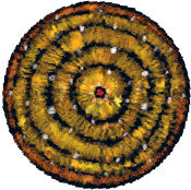 Житие святой великомученицы Варвары в пересказе для детей - _2.jpg