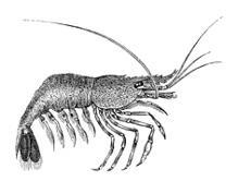 Постимся по-гречески. Постные блюда греческой монастырской традиции - i_045.jpg