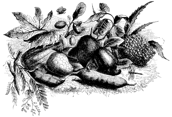 Постимся по-гречески. Постные блюда греческой монастырской традиции - i_054.png