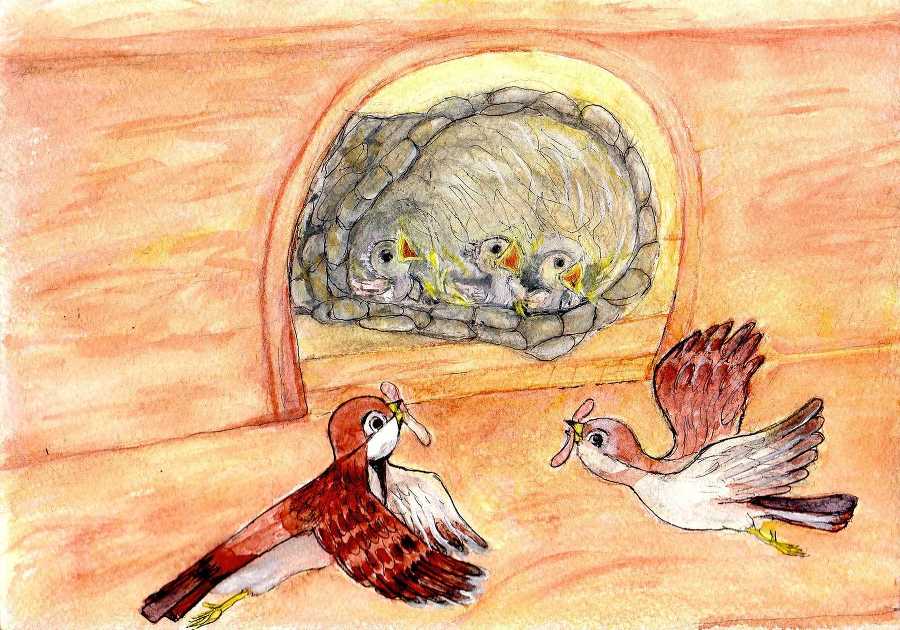 Неугомонный Чивик - _4.jpg