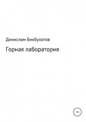 Горная лаборатория - автор Бикбулатов Динислам Федорович 