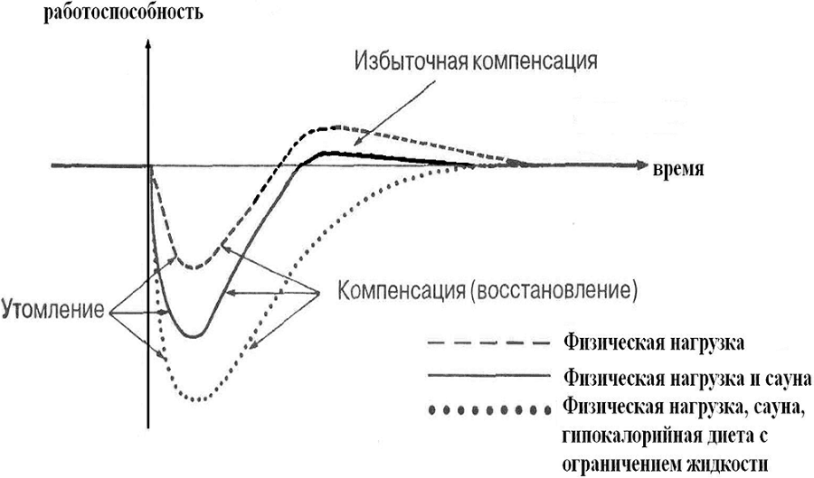 Восстановительная медицина. Фитнес и лечебная физкультура - _20.png