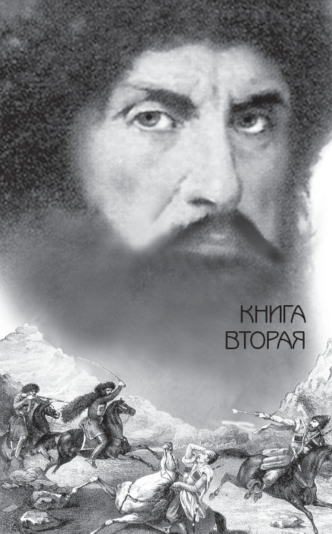 Имам Шамиль. Книга вторая - i_002.jpg