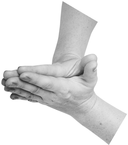 Большая книга мудр. Йога для пальцев, которая даст здоровье, деньги и удачу - _038.jpg