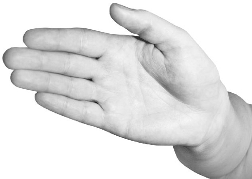 Большая книга мудр. Йога для пальцев, которая даст здоровье, деньги и удачу - _041.jpg