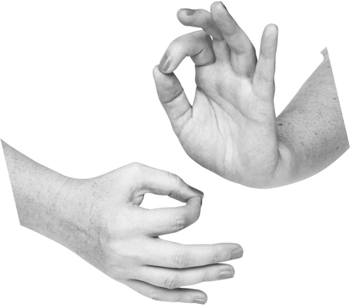 Большая книга мудр. Йога для пальцев, которая даст здоровье, деньги и удачу - _053.jpg