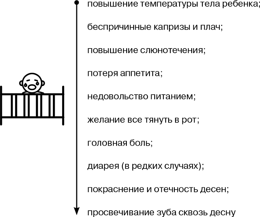 Стоматолог Селютина, у меня вопрос: как заботиться о детских зубах? - i_005.png