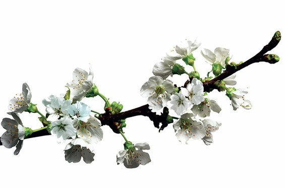 Любить или Разлюбить? (сборник) - i_001.jpg