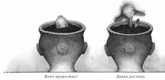 Дракони, вперед! - i_011.jpg