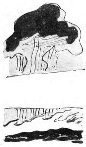 Лиса в лесу - i_004.jpg