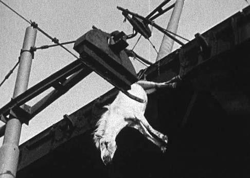 Лента длиною в эпоху. Шедевры советского кино - i_034.jpg