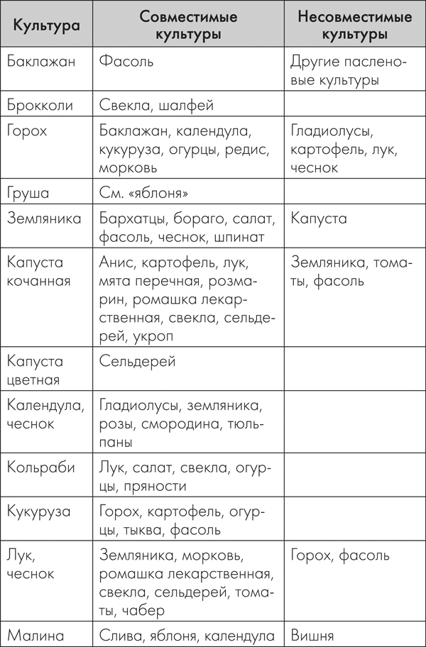 Разумная теплица. Главная книга о раннем урожае от Галины Кизимы - _19.jpg