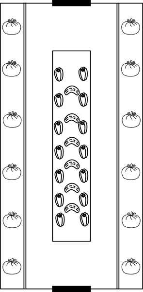 Разумная теплица. Главная книга о раннем урожае от Галины Кизимы - _9.jpg