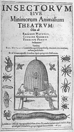 Удивительные насекомые - i_015.jpg