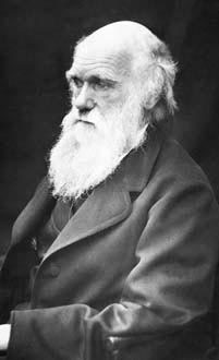 Удивительная экология - i_027.jpg