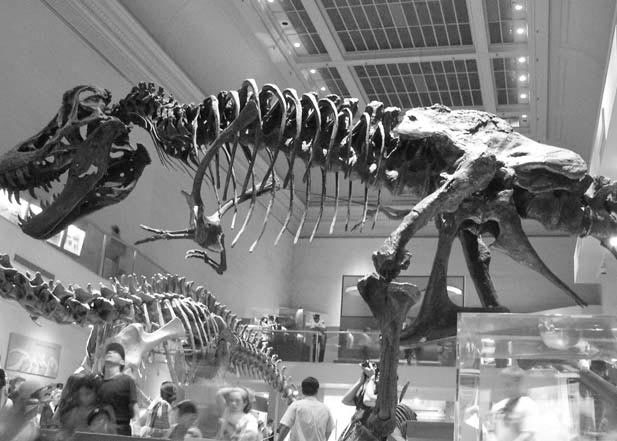 Удивительная экология - i_047.jpg