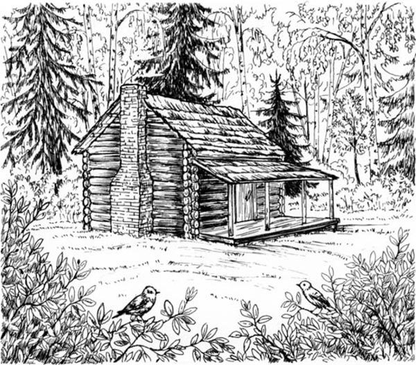 Скауты в лесах - i_001.jpg