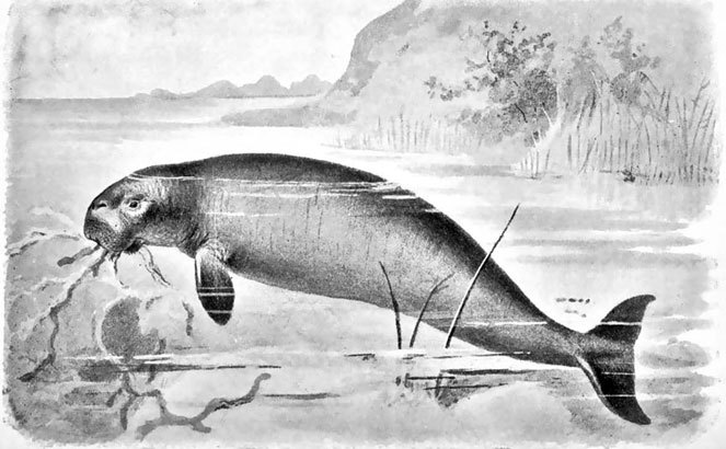 Истоки русского бестиария - i_010.jpg