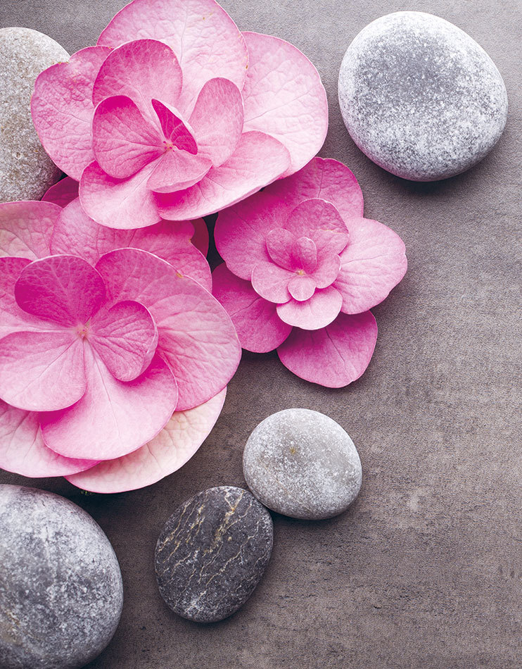 Японский массаж лица. Метод Асахи (Зоган) - i_001.jpg