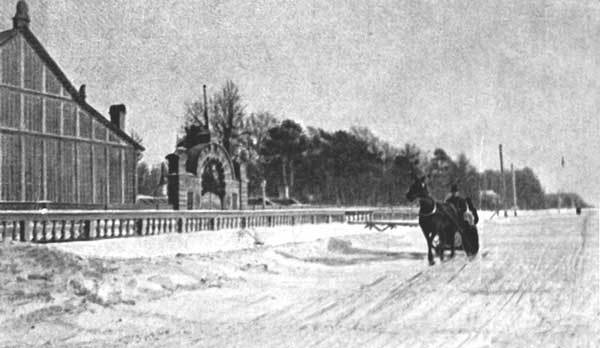 Цыганская песня: от «Яра» до Парижа - i_021.jpg