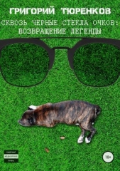 Сквозь черные стекла очков. Возвращение легенды - автор Тюренков Григорий 