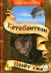 Полёт ежа - автор Евстигнеев Борис 