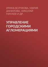 Читать книгу Управление городскими агломерациями - автор Лычагина Лилия Управление городскими агломерациями - автор Лычагина Лилия
