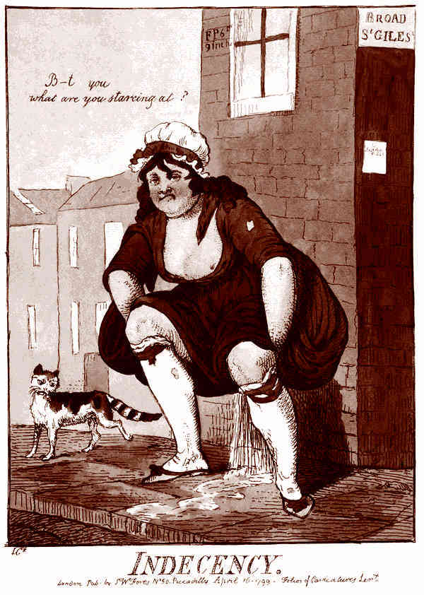 Это неприлично. Руководство по сексу, манерам и премудростям замужества для викторианской леди - i_004.jpg