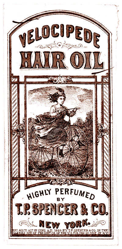 Это неприлично. Руководство по сексу, манерам и премудростям замужества для викторианской леди - i_035.jpg