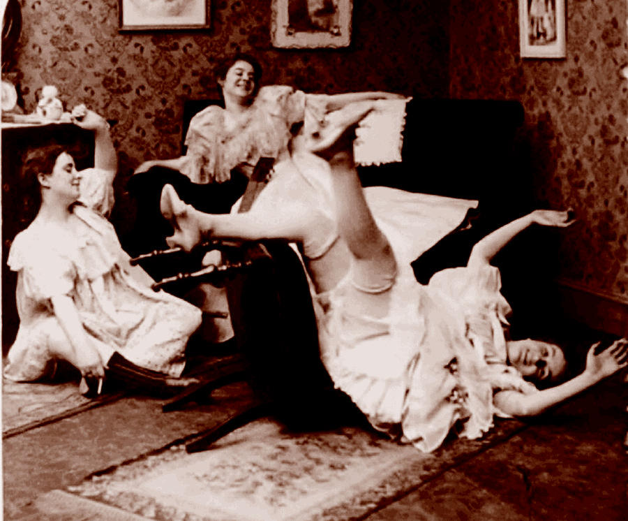 Это неприлично. Руководство по сексу, манерам и премудростям замужества для викторианской леди - i_049.jpg