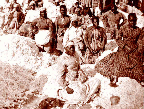 Это неприлично. Руководство по сексу, манерам и премудростям замужества для викторианской леди - i_053.jpg