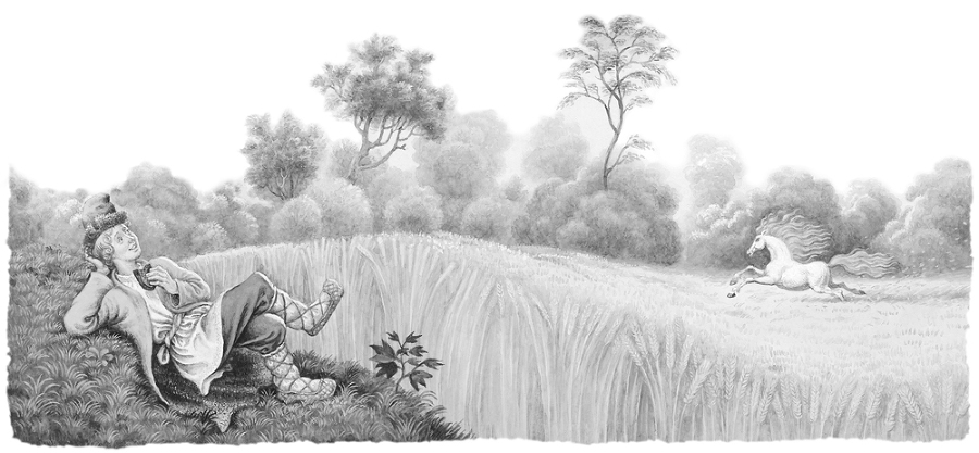 Конёк-горбунок - block_00114412.jpg