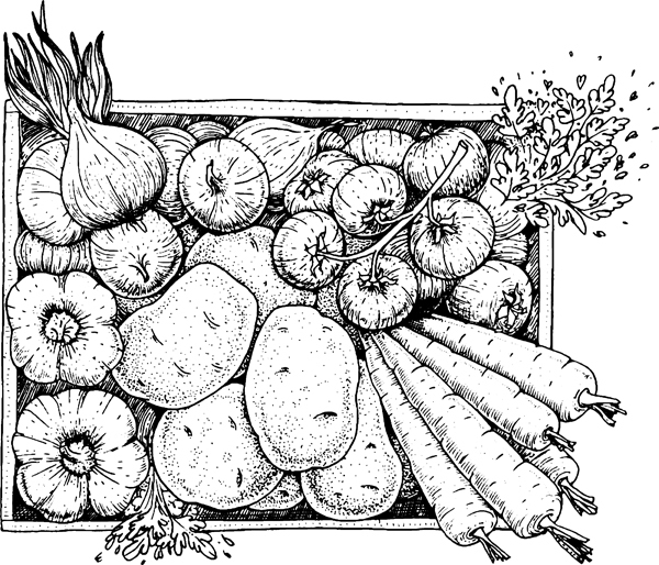 Дачный участок с нуля. С чего начать? - _32.jpg