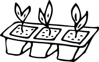 Дачный участок с нуля. С чего начать? - _53.jpg