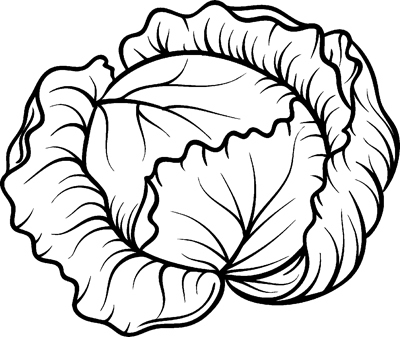 Дачный участок с нуля. С чего начать? - _54.jpg