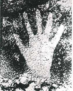 Эстетика звука на экране и в книге. Материалы всероссийской научно-практической конференции 12–14 апреля 2016 года - i_015.jpg