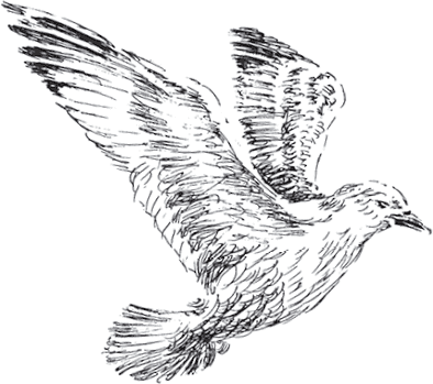 Золото скифов - i_009.png