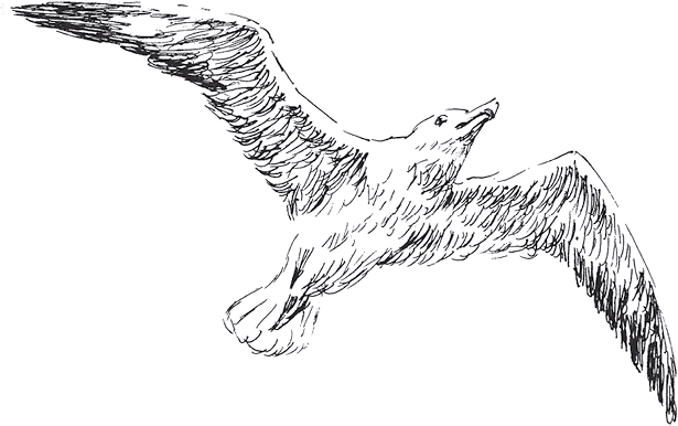 Золото скифов - i_010.png