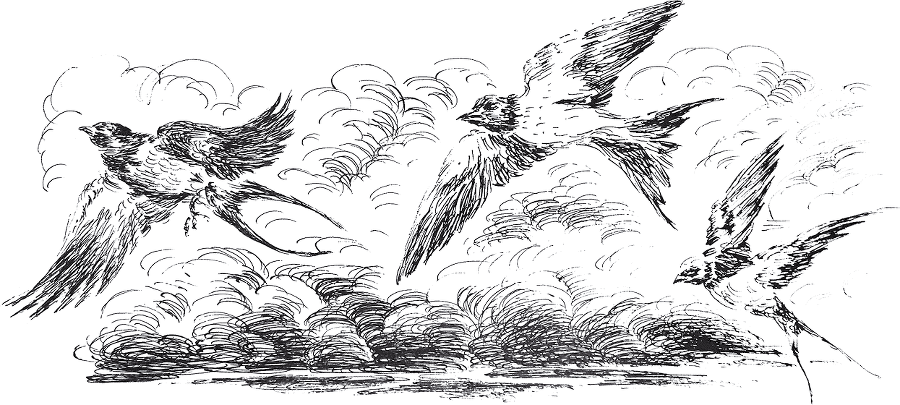 Золото скифов - i_019.png