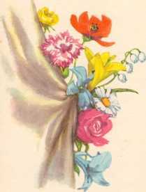 Дикие лебеди и другие сказки - i_013.jpg