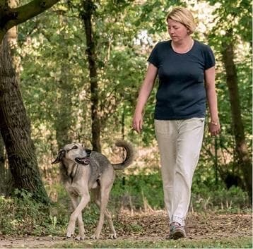 Идеальная собака не выгуливает хозяина. Как воспитать собаку без вредных привычек - i_004.jpg