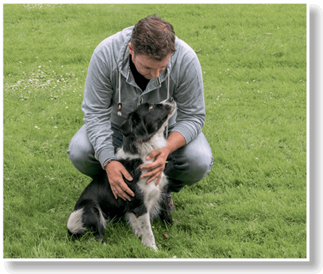 Идеальная собака не выгуливает хозяина. Как воспитать собаку без вредных привычек - i_024.png