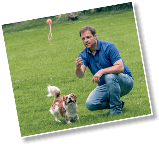 Идеальная собака не выгуливает хозяина. Как воспитать собаку без вредных привычек - i_025.png