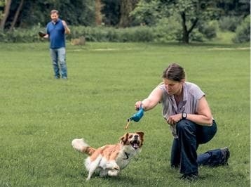 Идеальная собака не выгуливает хозяина. Как воспитать собаку без вредных привычек - i_027.jpg