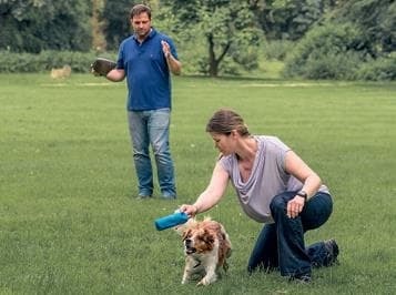 Идеальная собака не выгуливает хозяина. Как воспитать собаку без вредных привычек - i_028.jpg