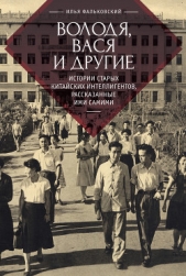 Володя, Вася и другие. Истории старых китайских интеллигентов, рассказанные ими самими - автор Фальковский Илья 
